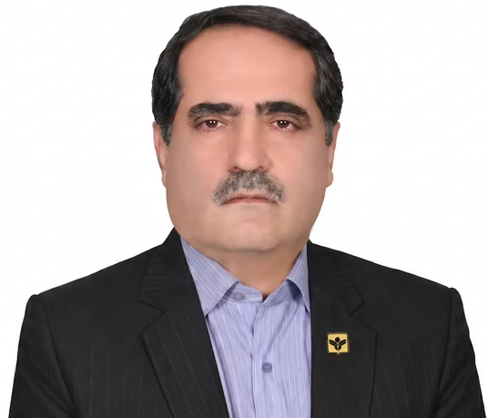 منصور عسگری